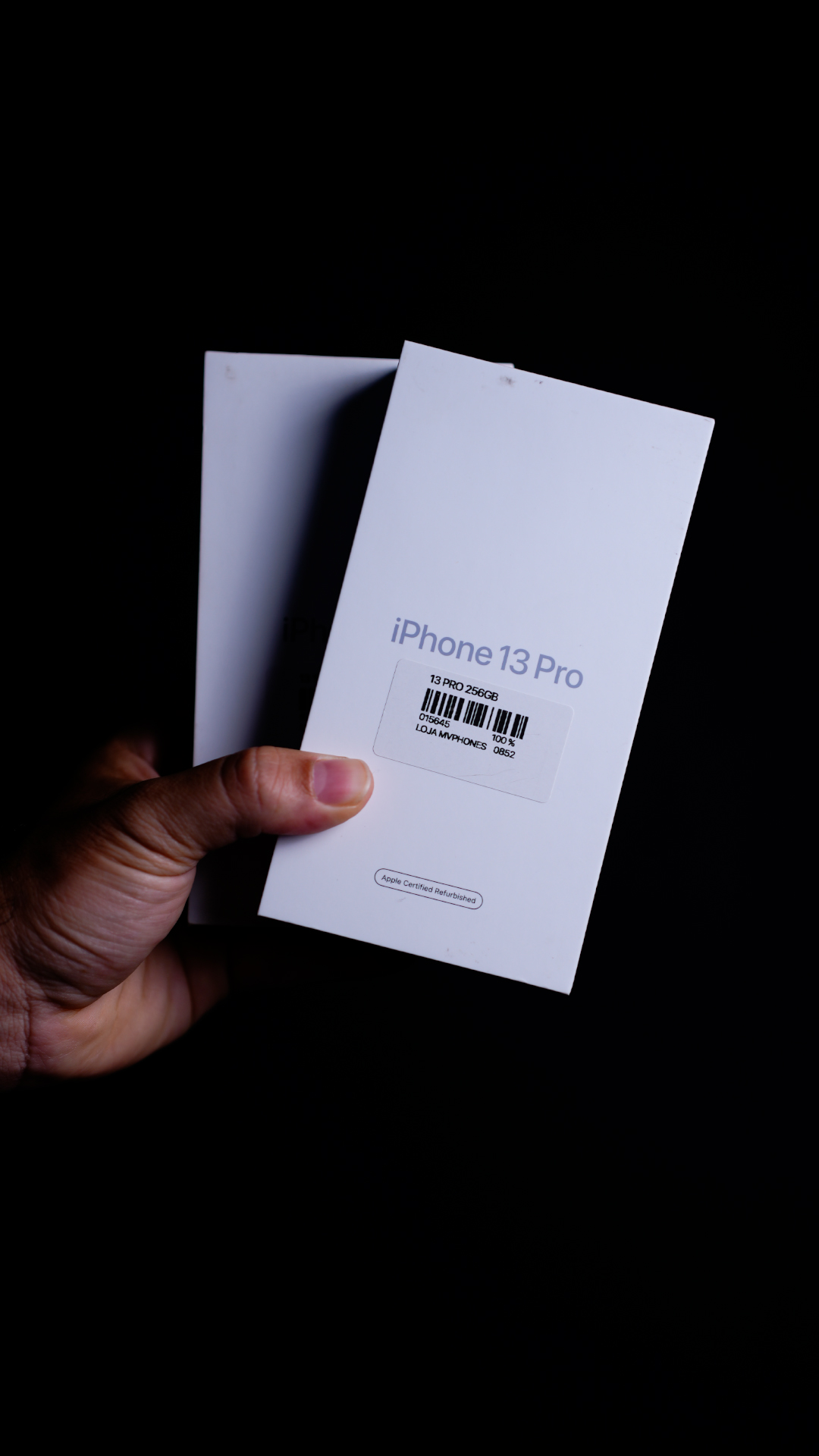 13 Pro 256gb