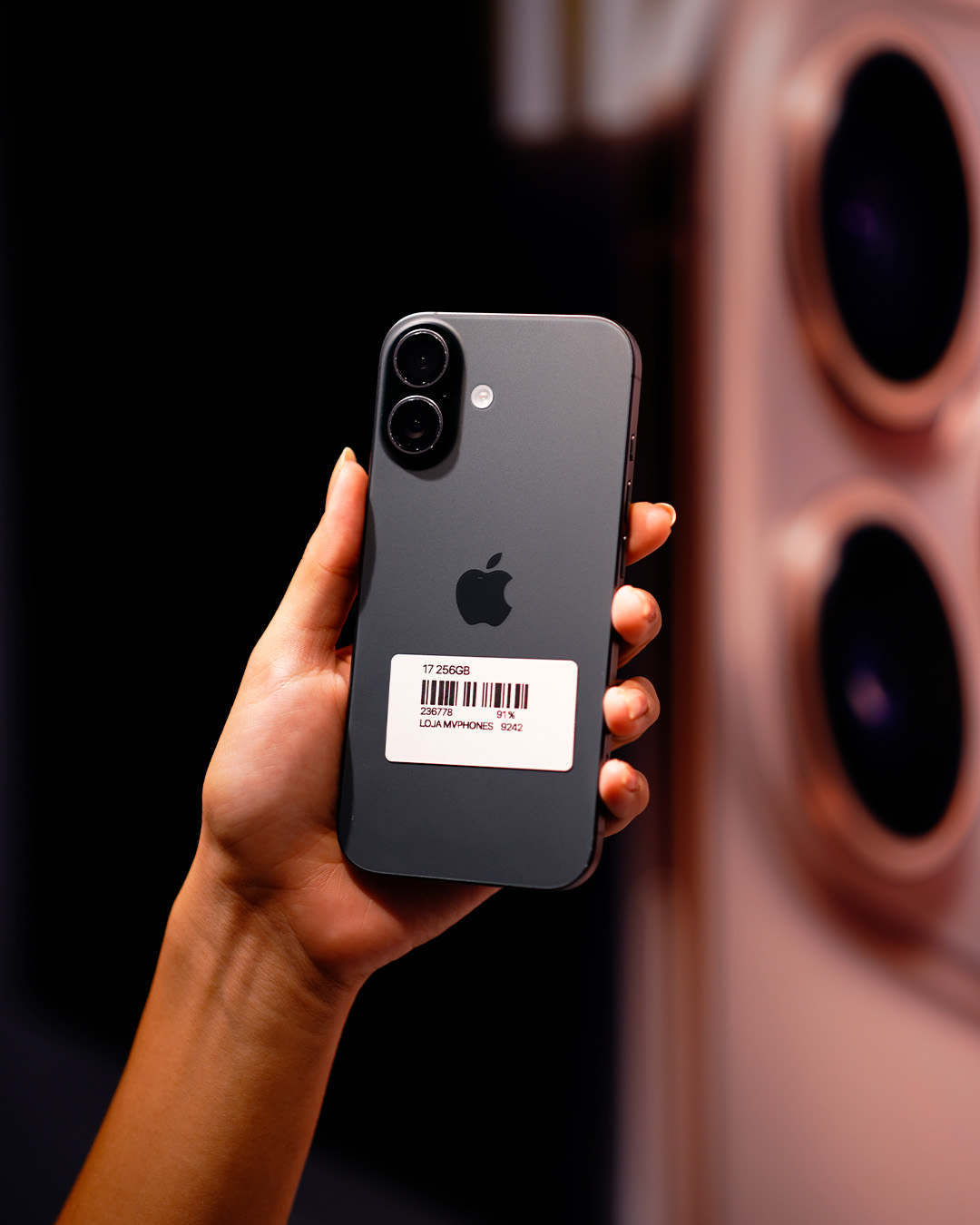 17 256gb