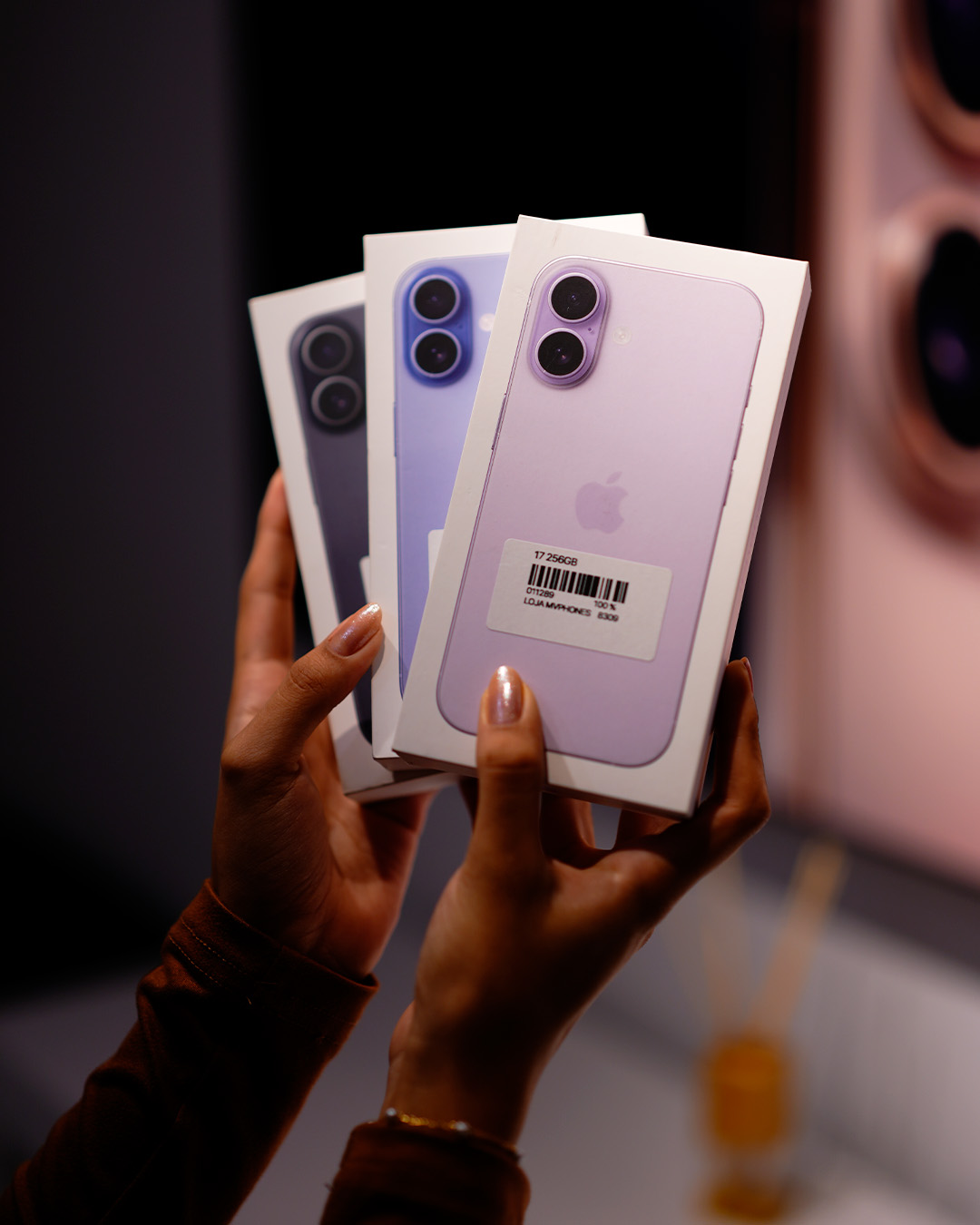 17 256GB